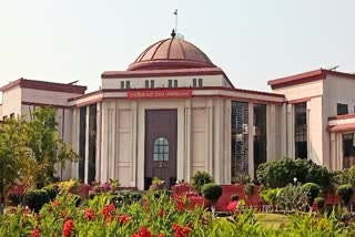 Chhattisgarh High Court comment on bilaspur police