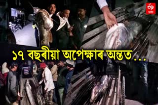 25 kg Barali Fish