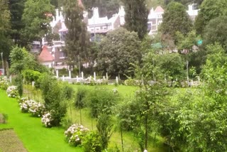 Nainital HC