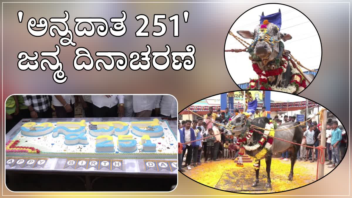 "ANNADATA 251" BULL'S BIRTHDAY CELEBRATION IN HAVERI