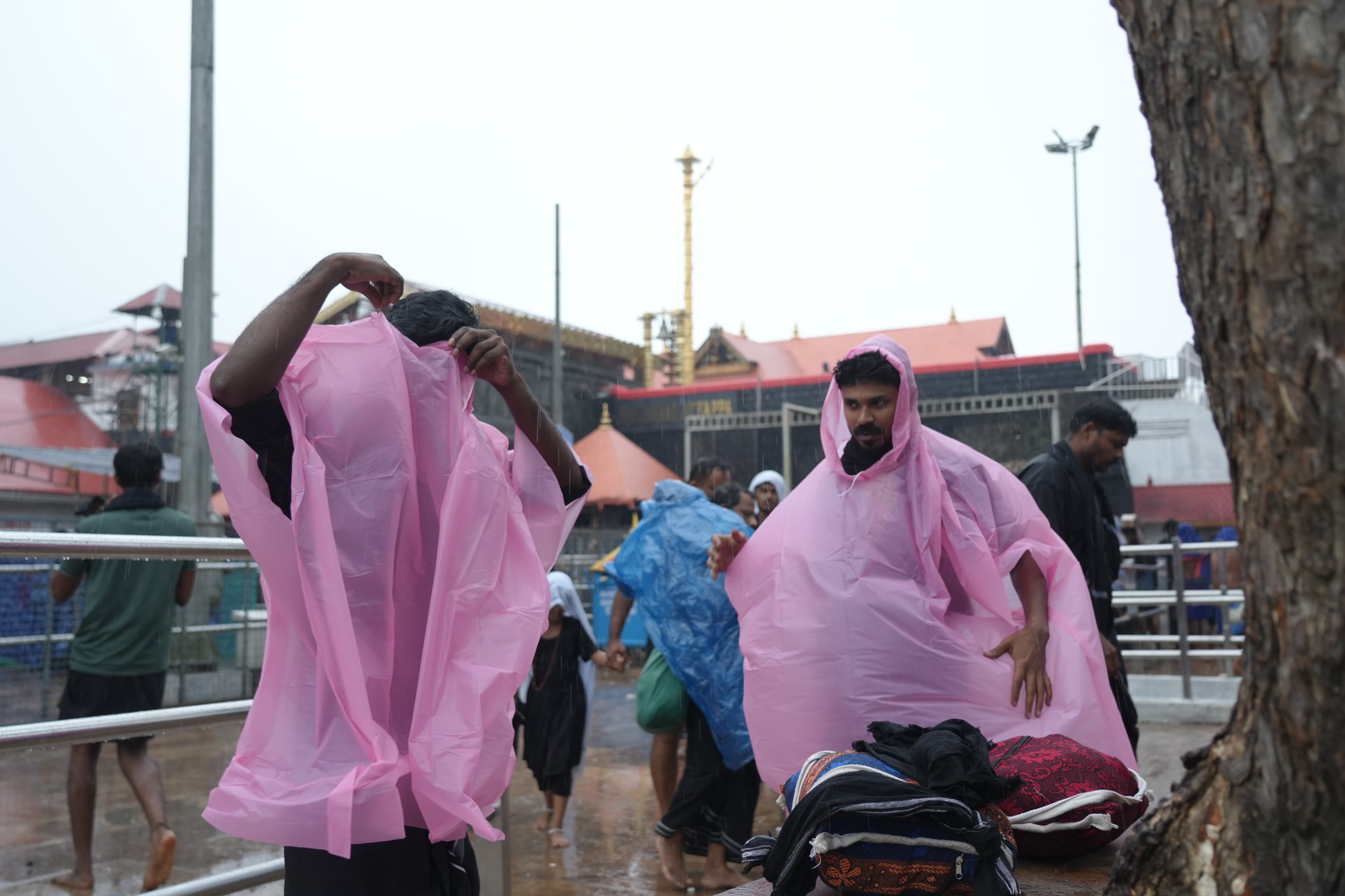 HEAVY RAIN IN PATHANAMTHITTA  sabarimala mandalam 2024  sabarimala weather  ശബരിമല വാര്‍ത്ത