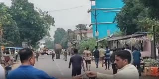 ELEPHANT TERROR IN BADAMBA