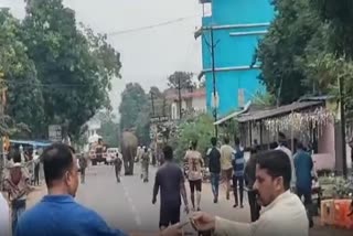 ELEPHANT TERROR IN BADAMBA