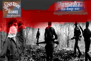 Naxalites Kill Man In Chhattisgarh's Bijapur For Being Informer: Police