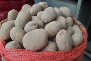 jharkhand-potato-traders-appealed-bengal-and-jharkhand-government-to-open-border