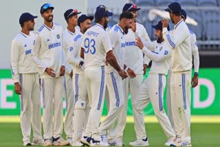 IND vs AUS Pink Ball Test