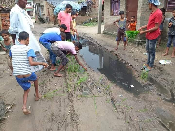 पौधे रोपते लोग