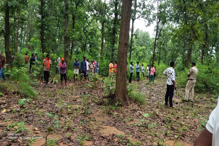 elephant died in surajpur