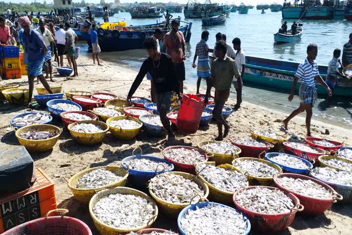 Ramewshwaram Fisher's Starts Fishing