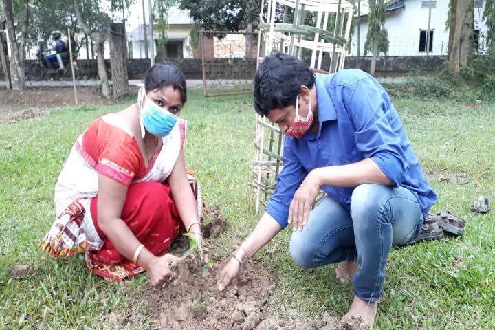 world environment day celebrated at Teok