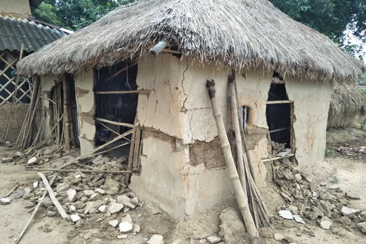 Elephant breaks houses