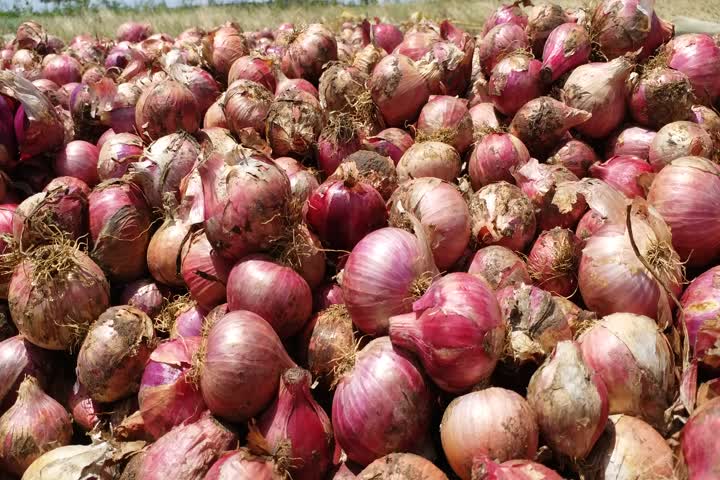 rising price of onion worries people in jaunpur uttar pradesh