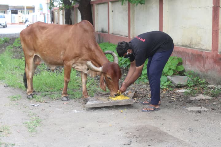 ETV bharat