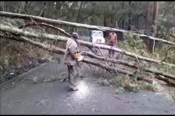 due to strong winds More than 20 hill villages at kodaikanal in power cut