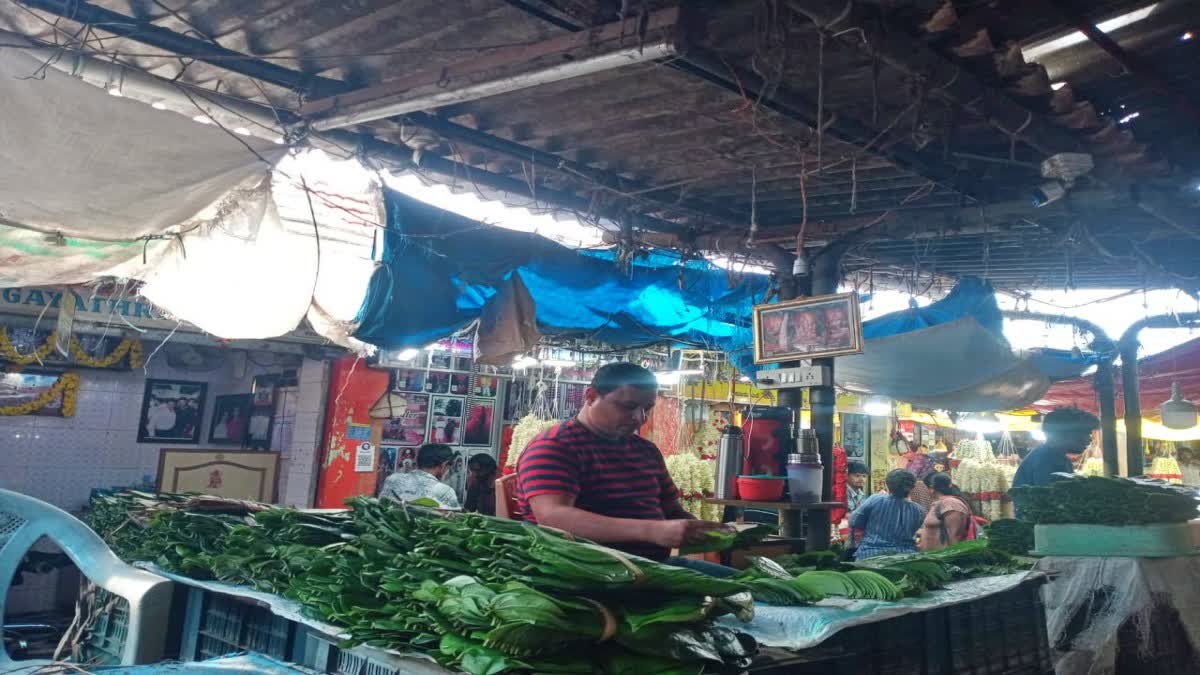 ವೀಳ್ಯದೆಲೆ ಕಾಯಲು 5 ಸಿಸಿ ಕ್ಯಾಮರಾ ಕಣ್ಗಾವಲು