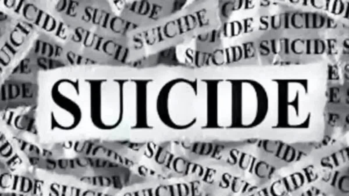 MP suicide news