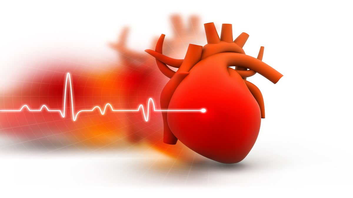 Cardiovascular diseases