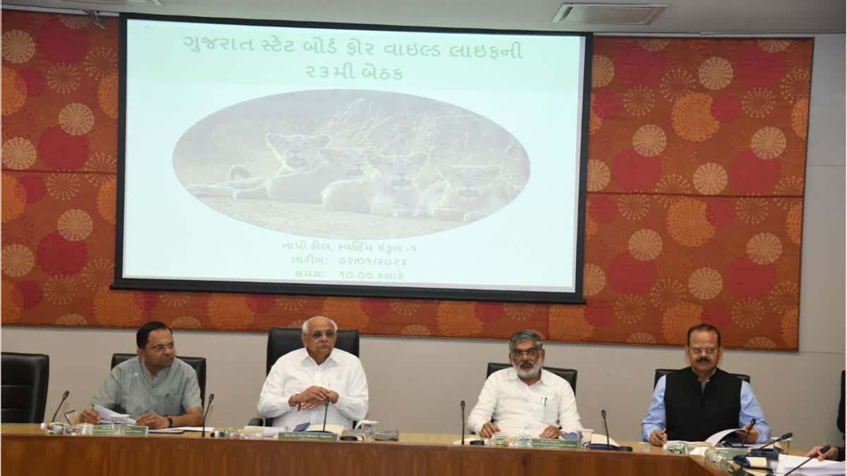 meeting of the State Board for Wild Life was concluded in Gandhinagar