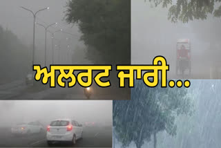 Cold and fog continue to wreak havoc in Punjab