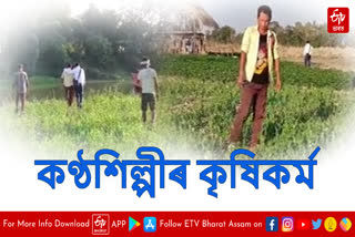 Singer Tridiv Gogoi has become self-reliant with farming