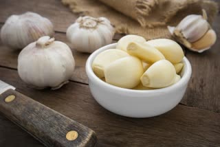 Garlic for Health News