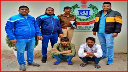 Faridabad Crime News Cow Smuggler Arrested