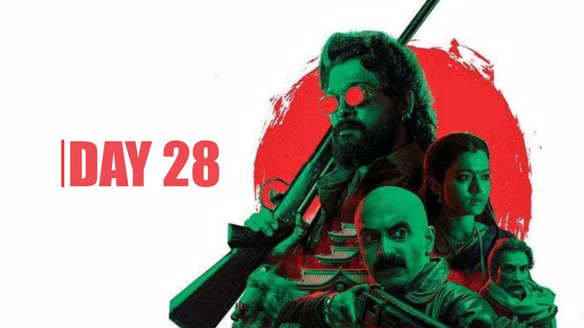 On its day 28, Pushpa 2 earned Rs 13.15 crore, pushing its total domestic nett to Rs 1,184.65 crore. It is noteworthy that the film has hit double digit even in its fourth week of release which underlines its immense popularity. As per industry tracker Sacnilk, the film saw an impressive growth in its domestic market.