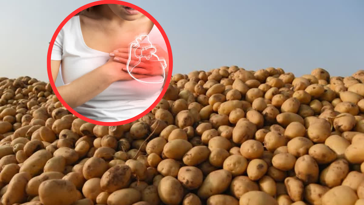 can-eating-potatoes-increase-the-risk-of-heart-problems?