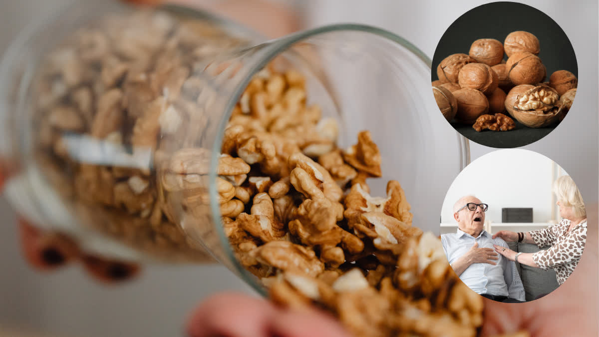 Eating walnuts or akhrot daily is good for heart health says Research