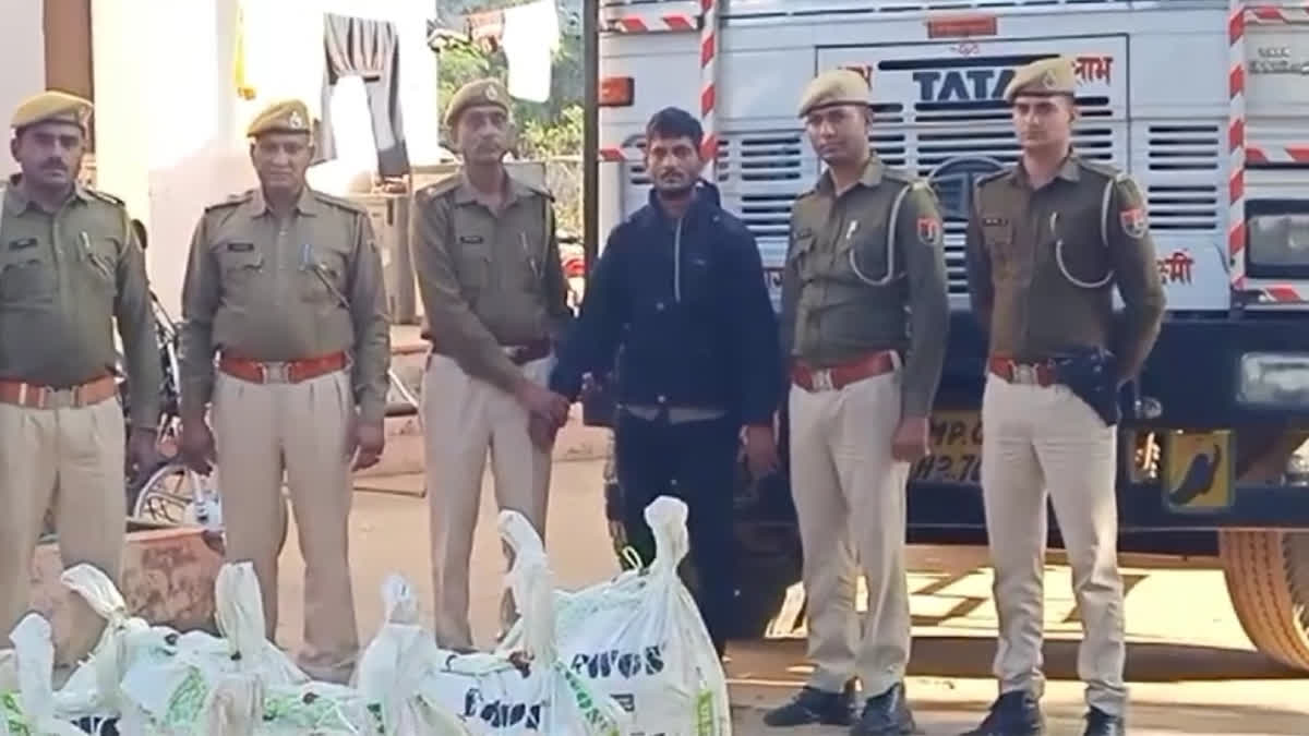 Police seized ganja in Bhilwara