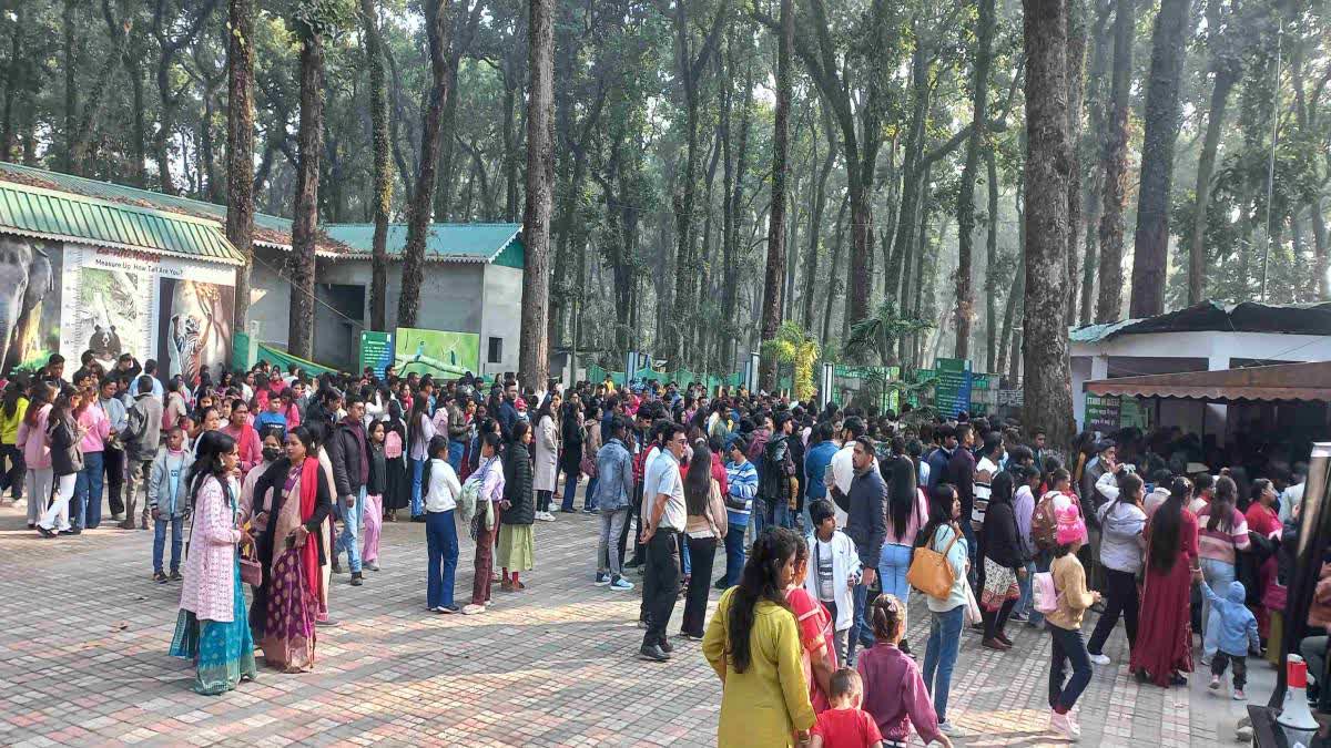 Tourists throng a zoo on the first day of New Year