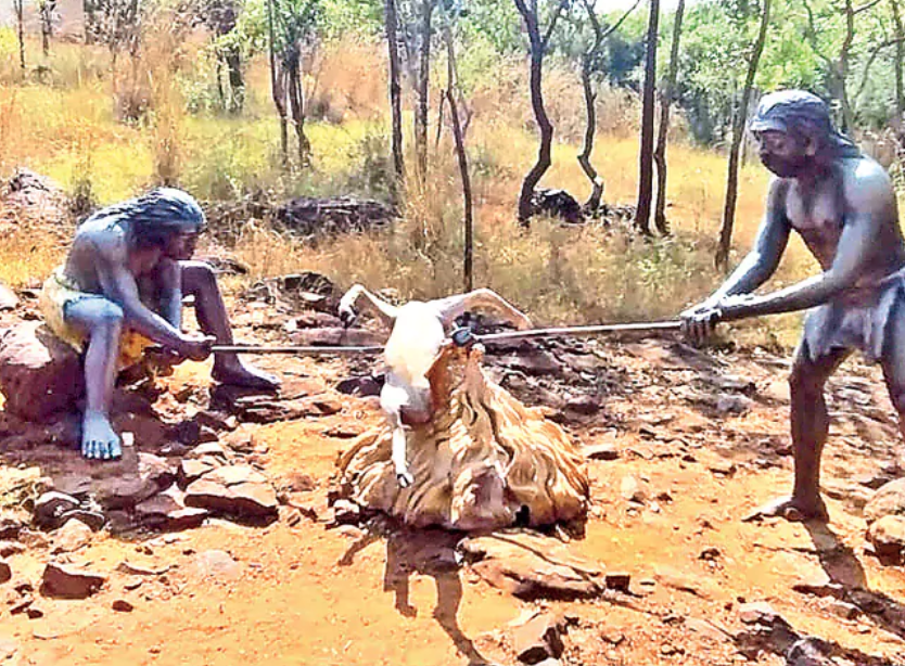 Ecological Knowledge Park in Sunnipenta of Kurnool District