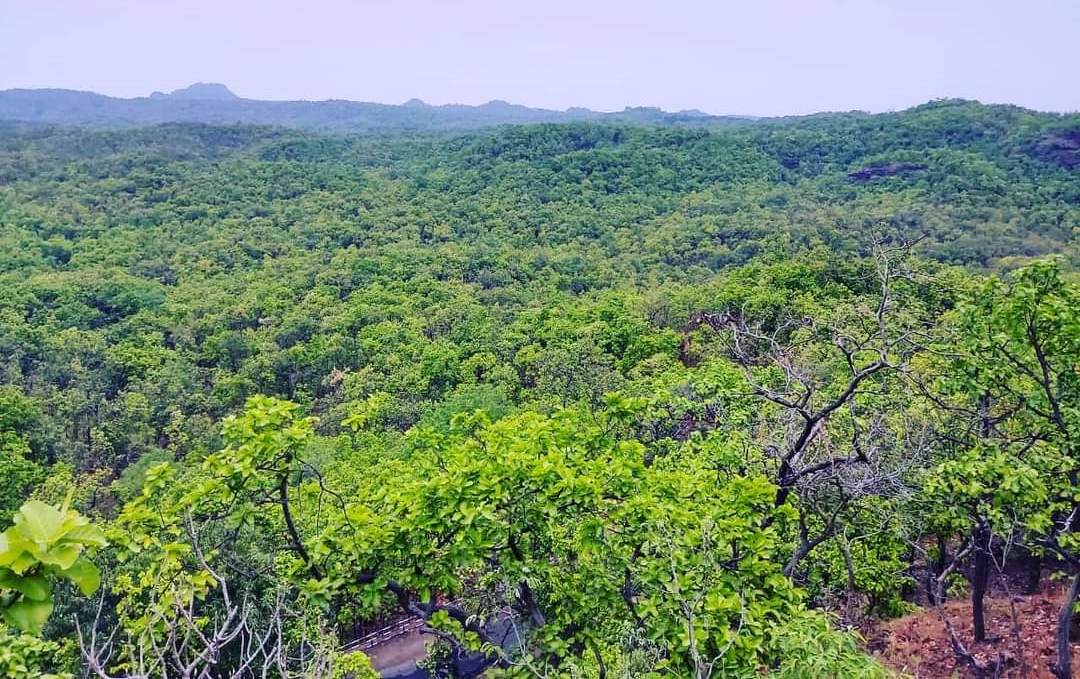 beautiful valleys of Pachmarhi