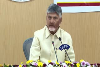 CM Chandrababu Chit Chat On Ys Jagan Seci Fraud