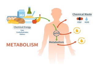 METABOLISM WEAKNESS SYMPTOMS