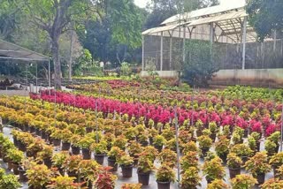 REPUBLIC DAY FLOWER SHOW  BENGALURU  MAHARSHI VALMIKI  ಲಾಲ್‌ಬಾಗ್‌ನಲ್ಲಿ ಫಲಪುಷ್ಪ ಪ್ರದರ್ಶನ