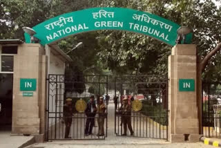 Delhi Pollution Body Collected Over Rs 112 Crore In Compensation: Report In NGT