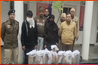 Two accused arrested in Fatehabad