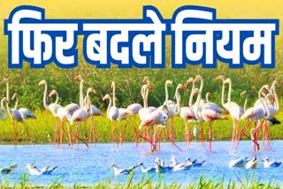 Keoladeo National Park