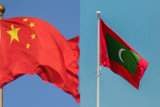 China-Maldives Free Trade Agreement Takes Effect From Jan 1