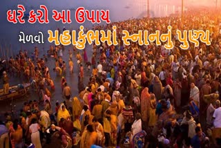 મહા કુંભ મેળાનું એક દ્રશ્ય