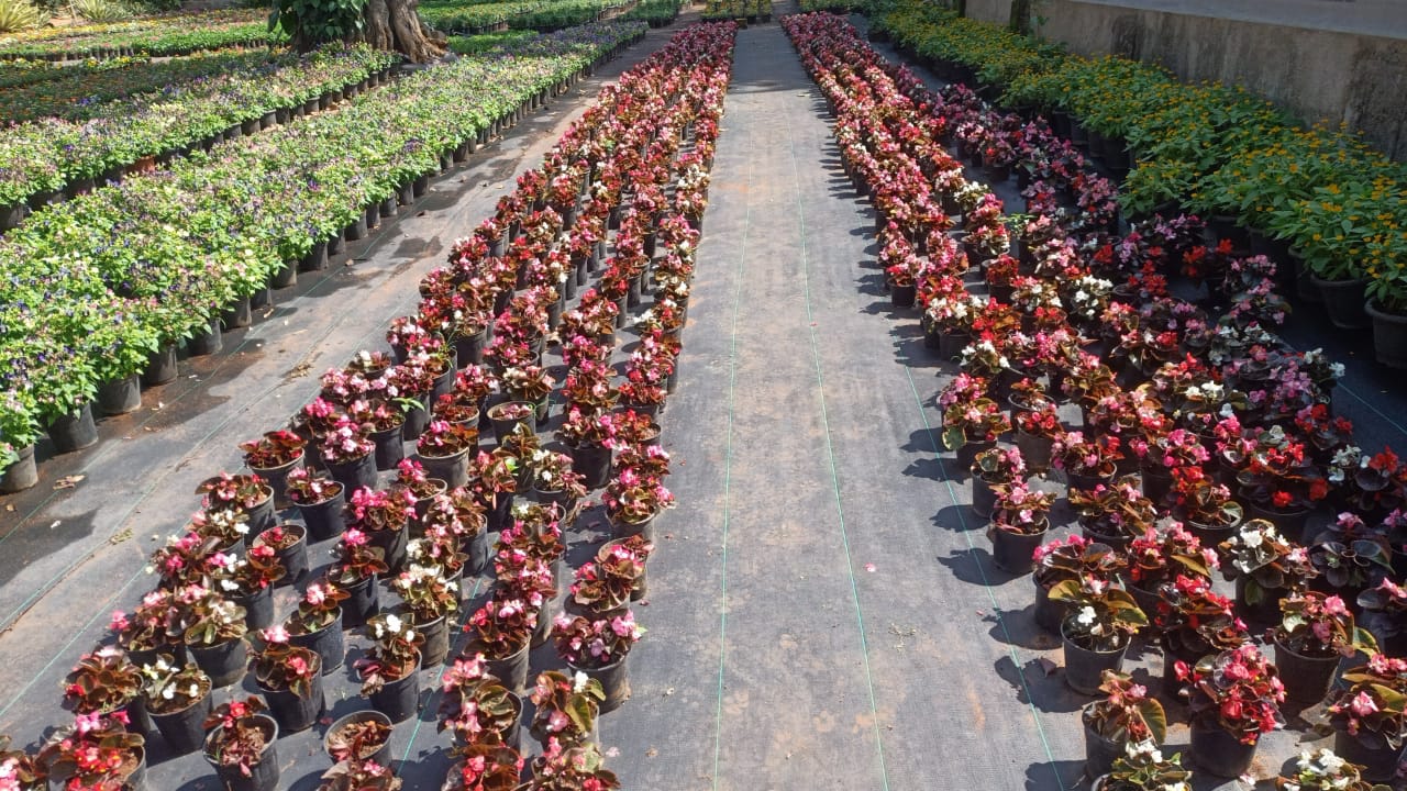 REPUBLIC DAY FLOWER SHOW  BENGALURU  MAHARSHI VALMIKI  ಲಾಲ್‌ಬಾಗ್‌ನಲ್ಲಿ ಫಲಪುಷ್ಪ ಪ್ರದರ್ಶನ