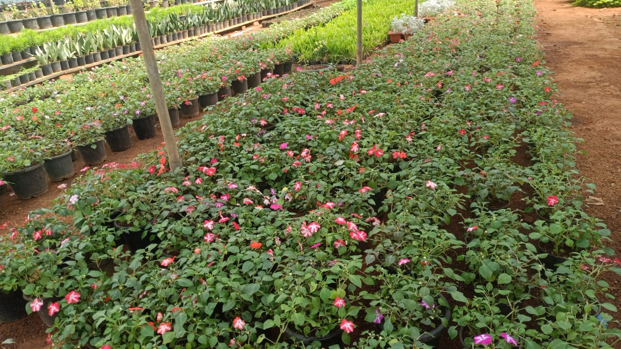 REPUBLIC DAY FLOWER SHOW  BENGALURU  MAHARSHI VALMIKI  ಲಾಲ್‌ಬಾಗ್‌ನಲ್ಲಿ ಫಲಪುಷ್ಪ ಪ್ರದರ್ಶನ