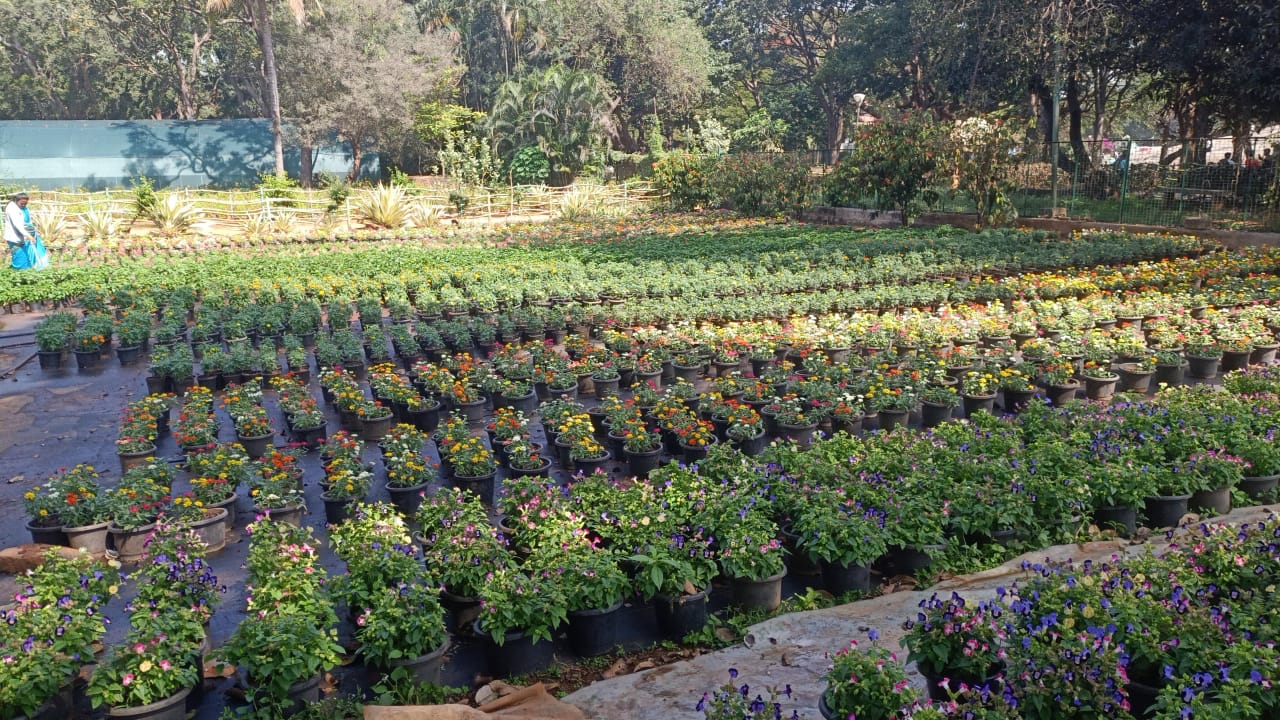 REPUBLIC DAY FLOWER SHOW  BENGALURU  MAHARSHI VALMIKI  ಲಾಲ್‌ಬಾಗ್‌ನಲ್ಲಿ ಫಲಪುಷ್ಪ ಪ್ರದರ್ಶನ