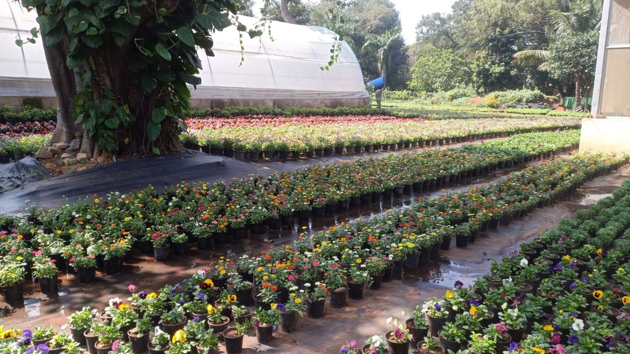 REPUBLIC DAY FLOWER SHOW  BENGALURU  MAHARSHI VALMIKI  ಲಾಲ್‌ಬಾಗ್‌ನಲ್ಲಿ ಫಲಪುಷ್ಪ ಪ್ರದರ್ಶನ