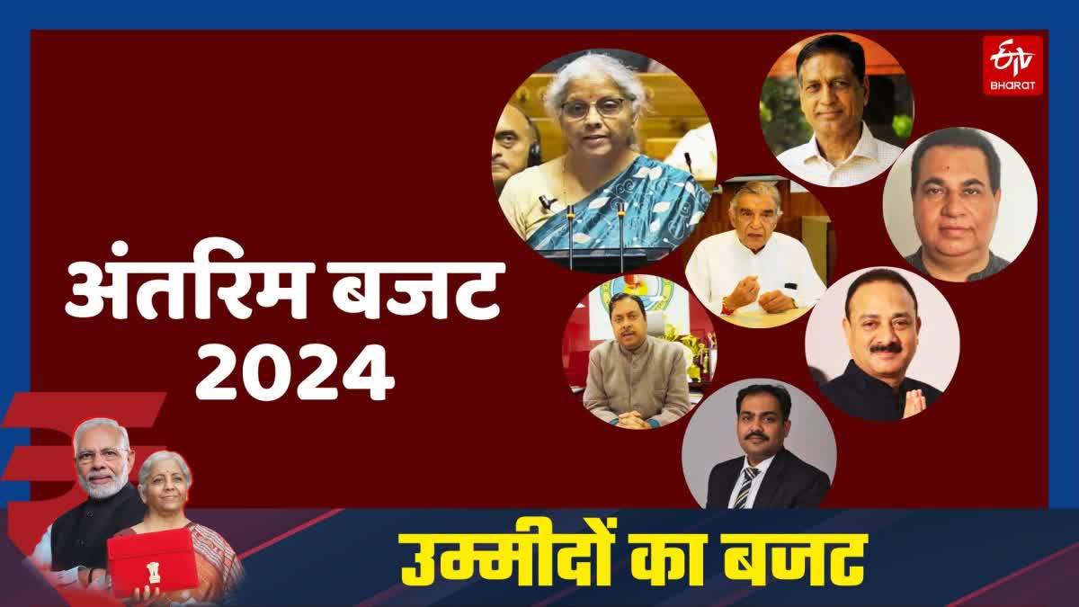 Interim Budget 2024 political reaction