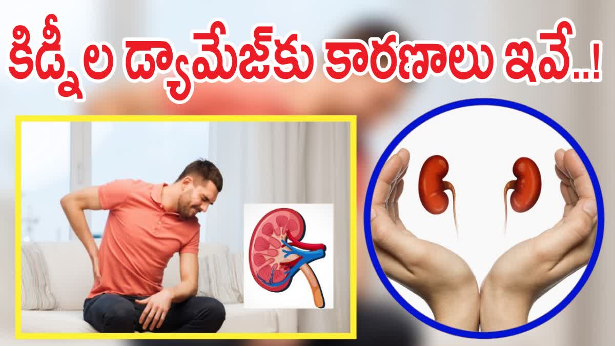 Causes Of Kidney Damage