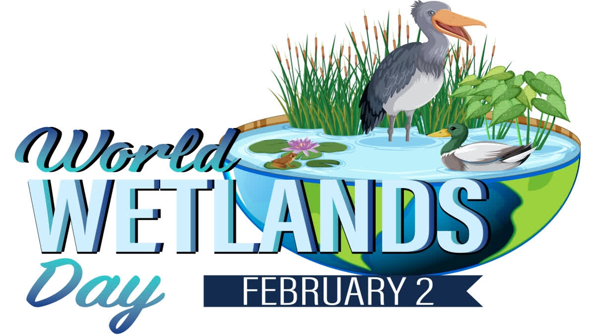 World Wetlands Day is observed on February 2 to promote the conservation and sustainable management of wetlands across the globe.