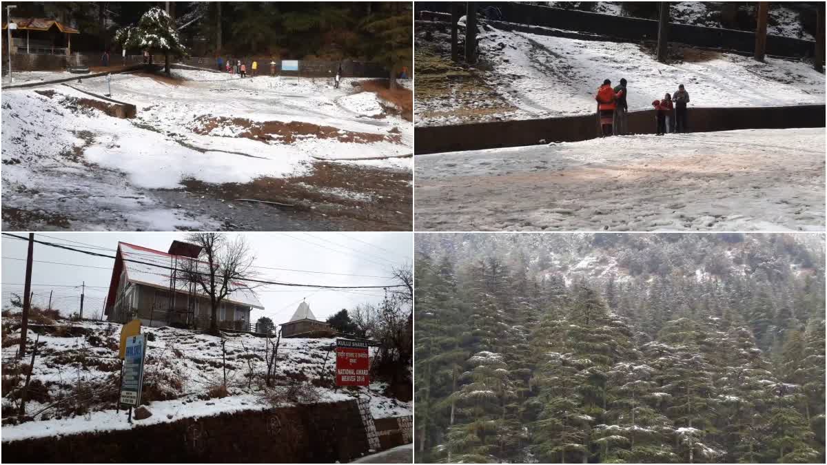 Snowfall in Kangra