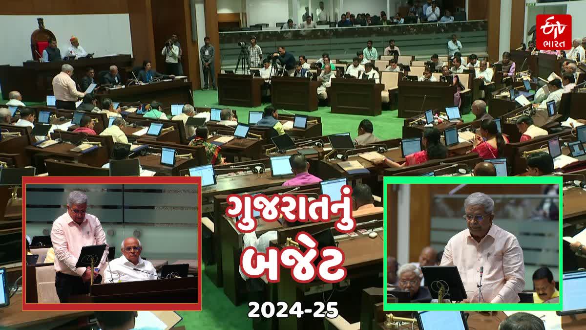 ગુજરાત બજેટ 2024-25